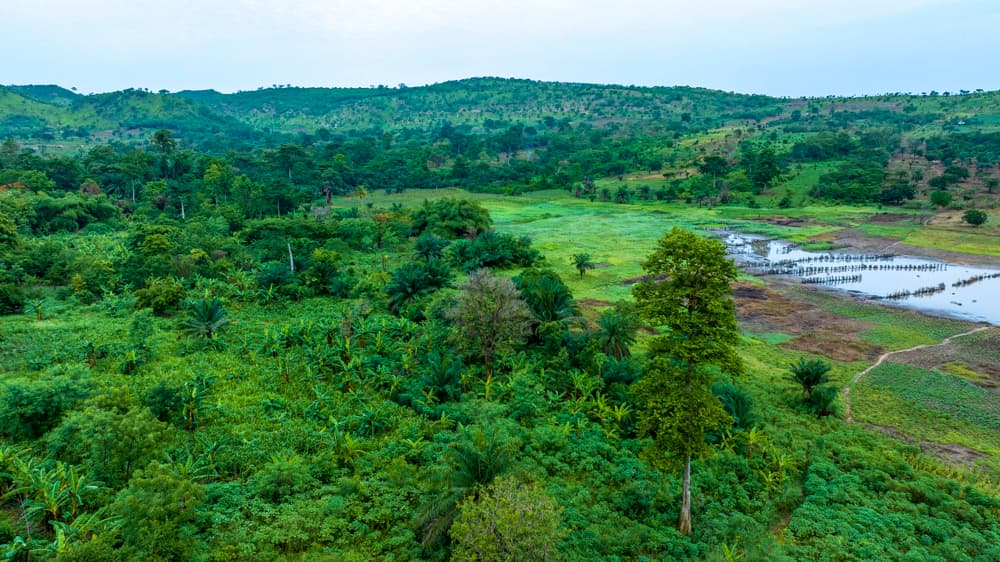 Tranquillus Akosombo Amenities