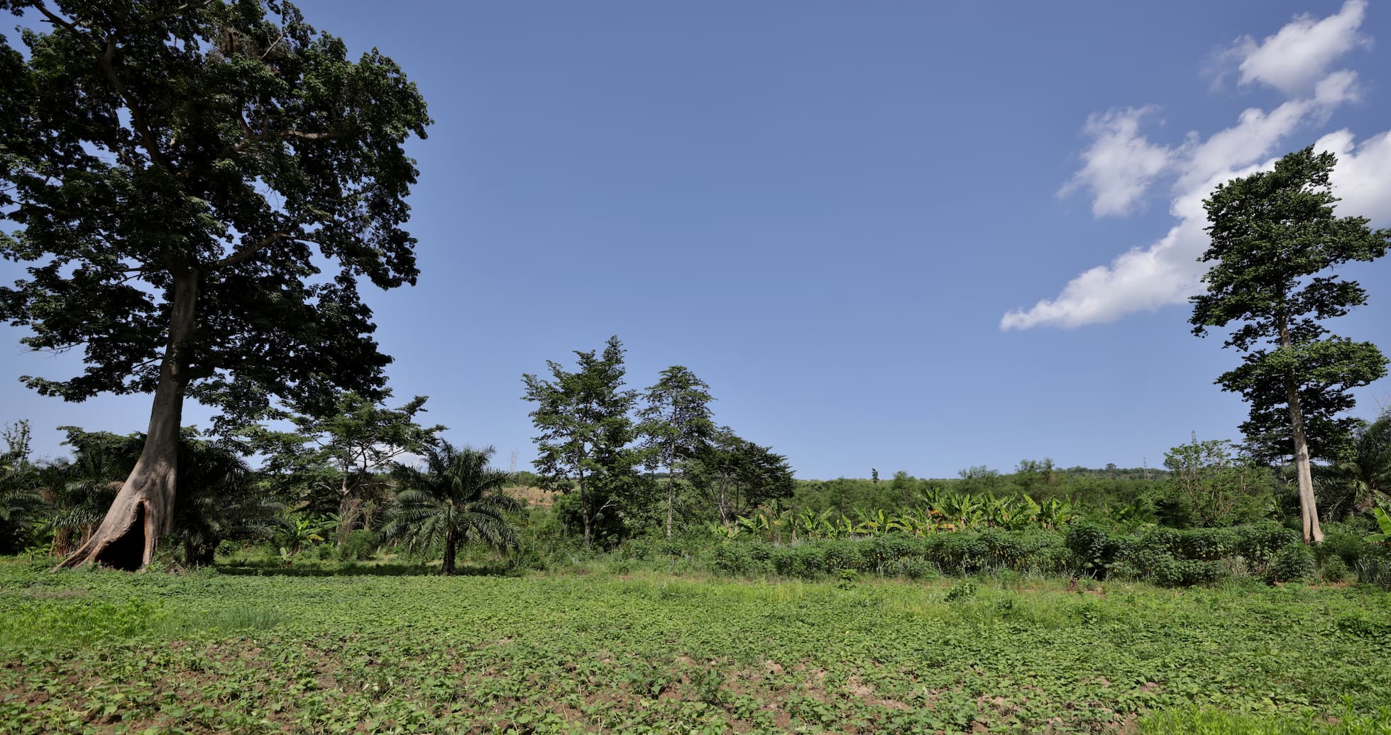 Tranquillus Akosombo Amenities