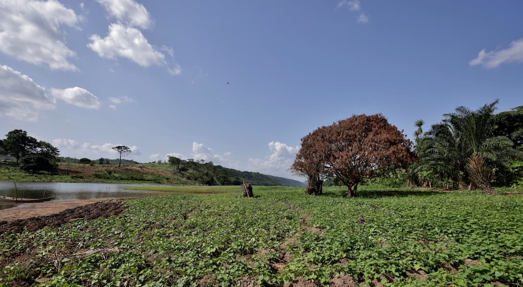 Tranquillus Akosombo Amenities